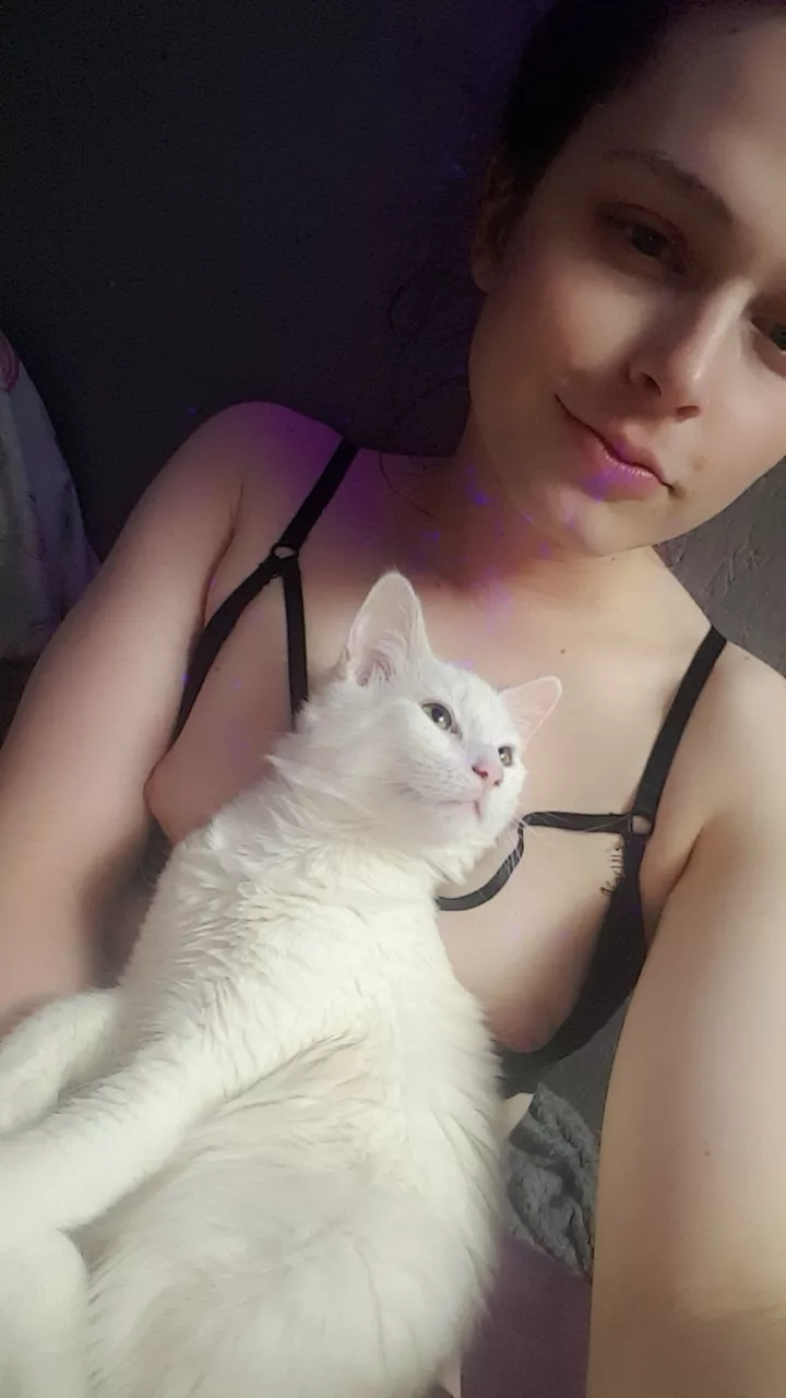 uh idk heres my kitty and my titties