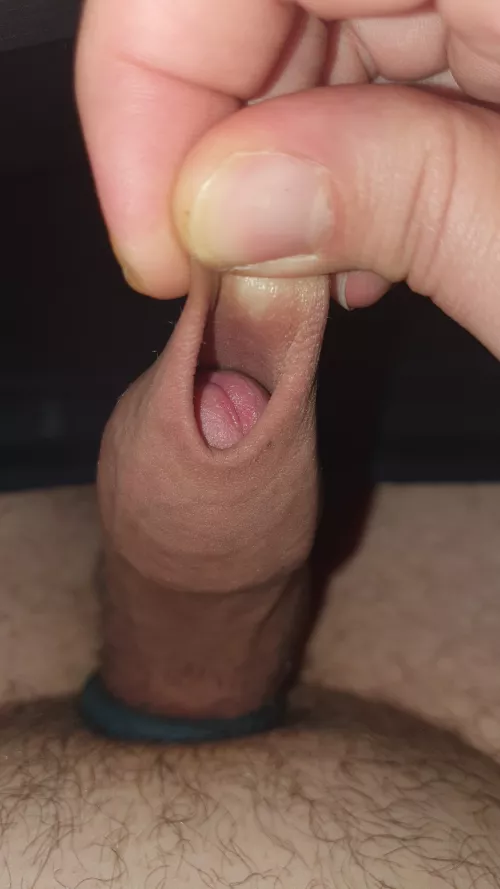 Uncut Dutch/Arab Cock. Horny at work right now. [28]