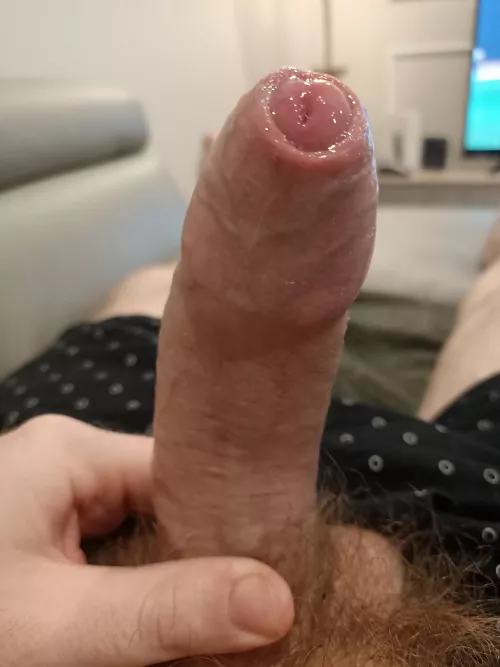 Uncut glistening with precum