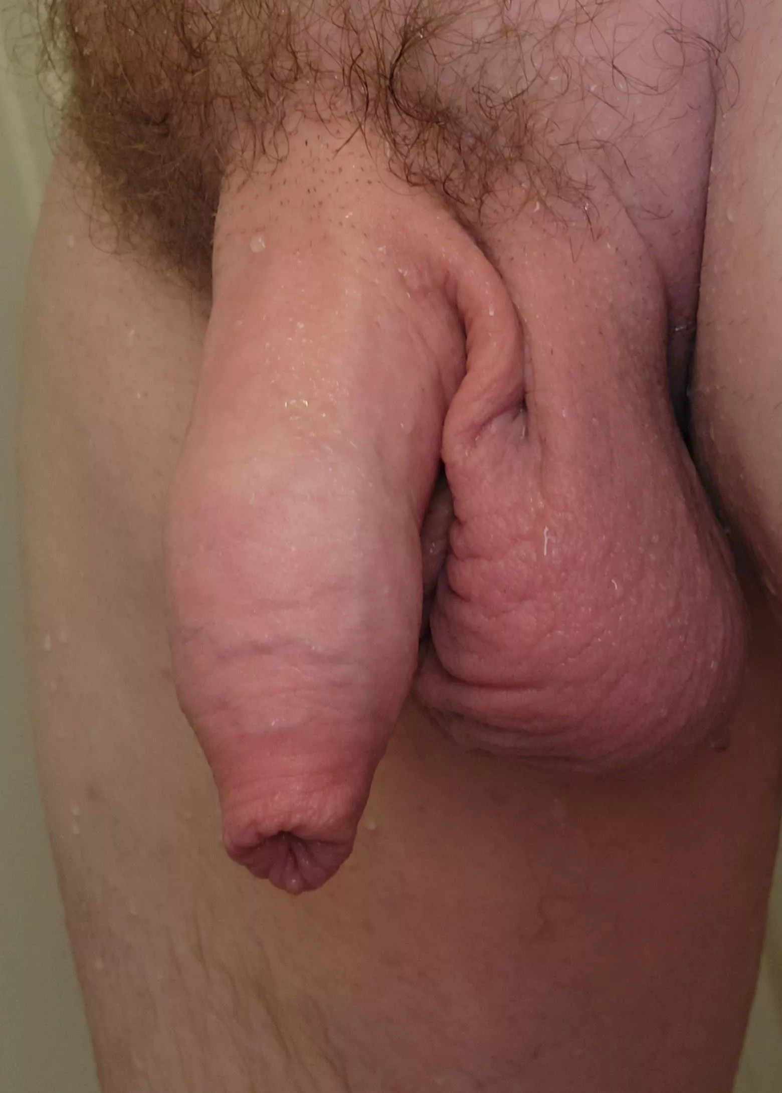 Uncut softie
