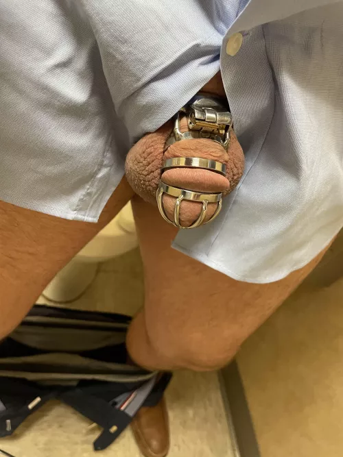 Under the suit is a locked cock!