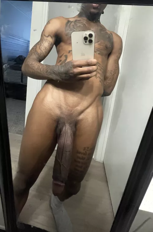 Ur Fav cock