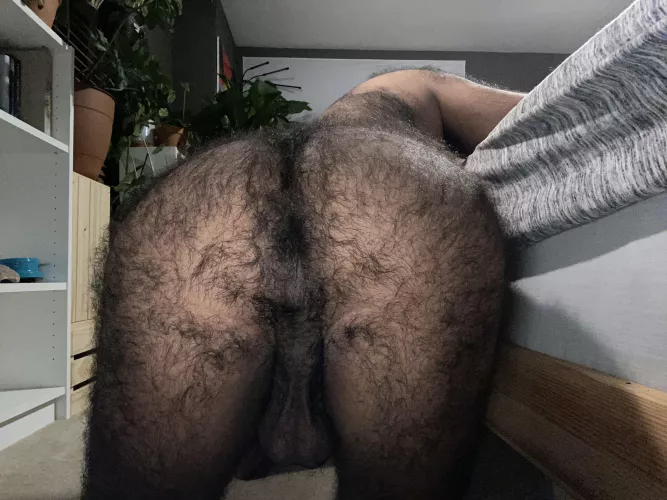Usually donβt take ass pics but here is one lol . Thoughts ?