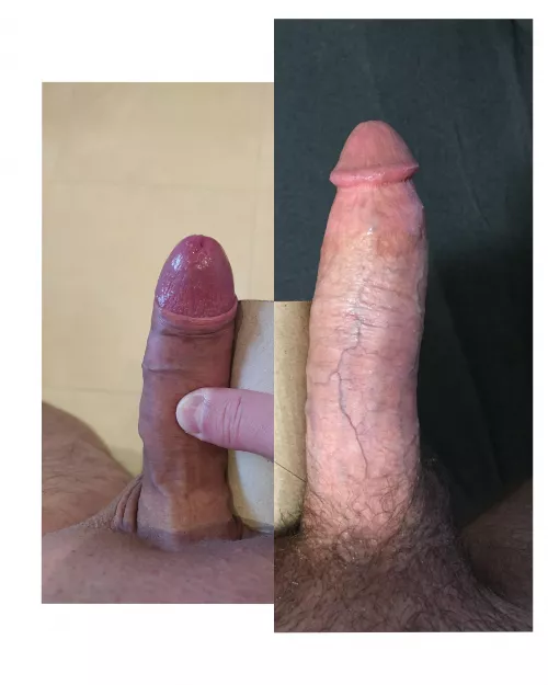 u/ynboy (left) vs u/ThisIsAlsoNotTheFBI (right) - which one would you choose?