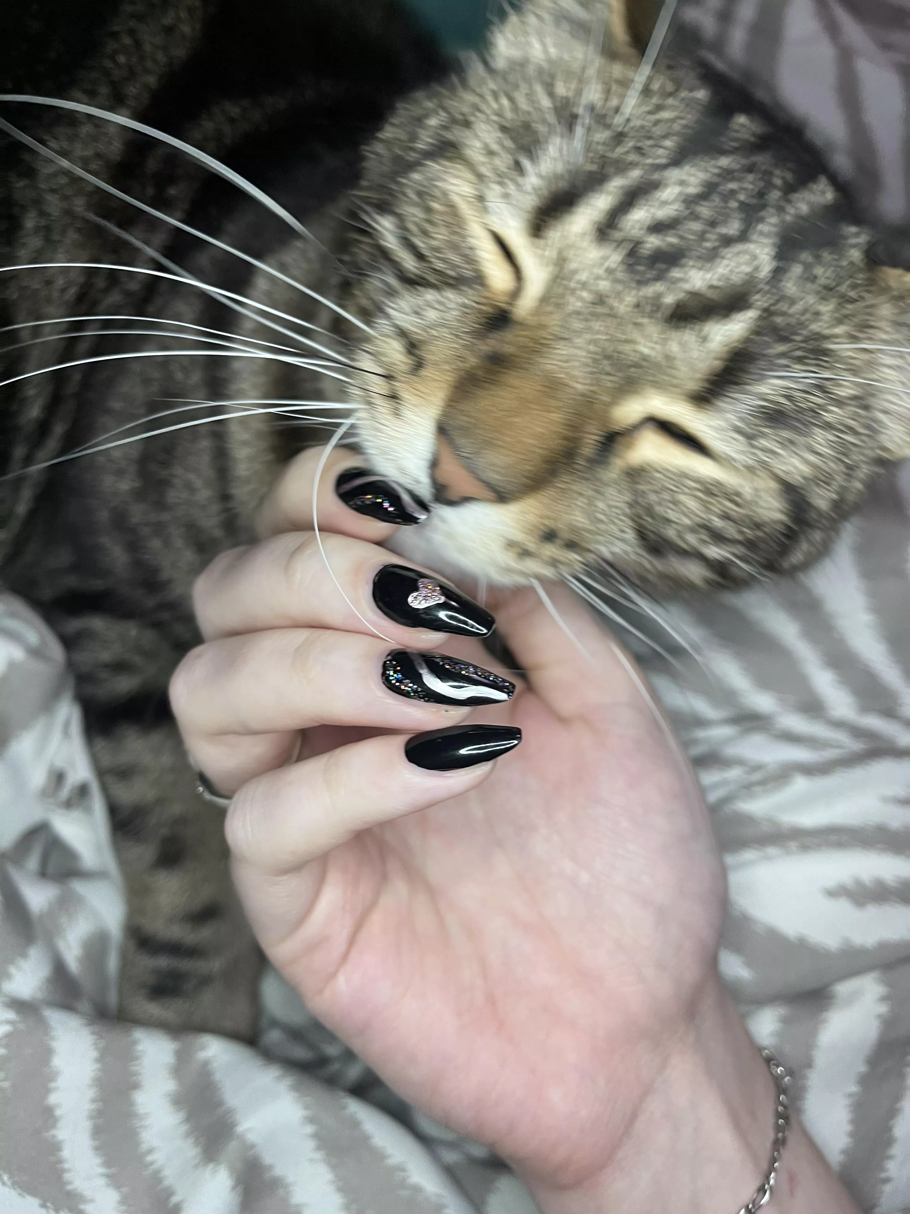 Valentine's Day Nails