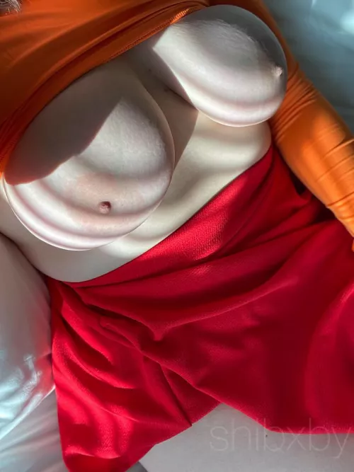 velma's naturals š