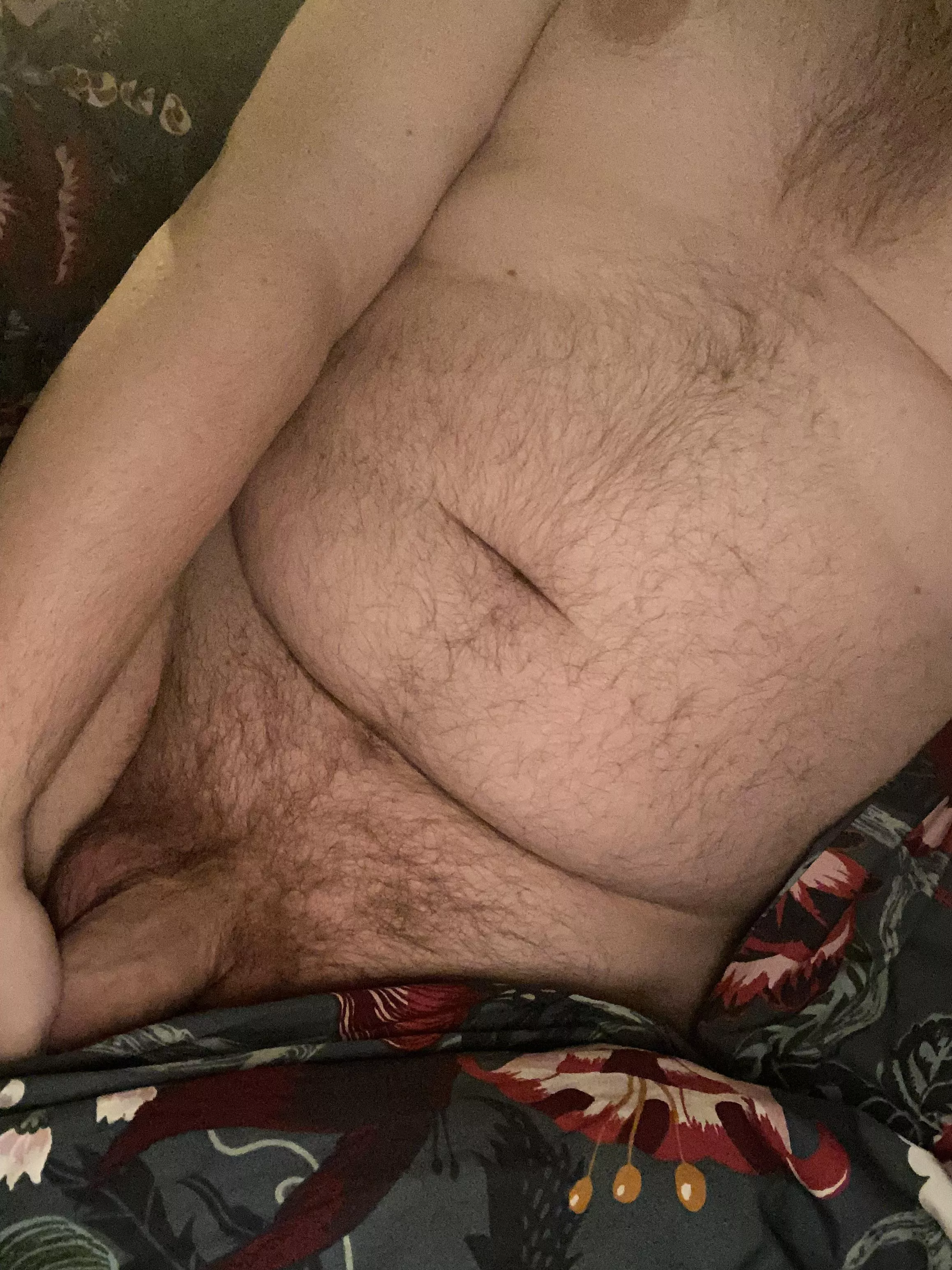 Verbal dom bear daddy for kinky sub guys!