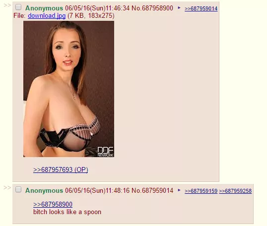 Very apt description of Lucie, courtesy of /b/ Very apt description of Lucie, courtesy of /b/