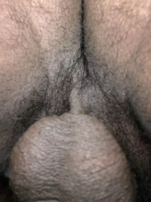 Very rare picture of my sack and hairy hole 😈🖤🍑🍆🍒 Who wants a taste?