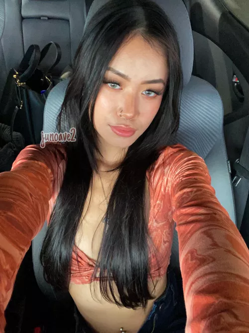 vietnamese x chinese x french