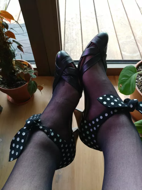 Vintage style heels with sheer nylons :) excuse the purple light - it's the grow lights for my plants!