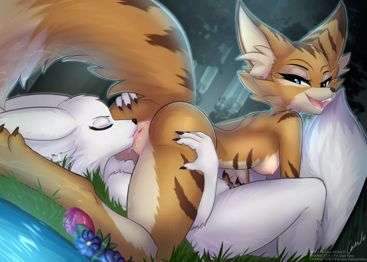 Vulpera Love [FF] (Son237)
