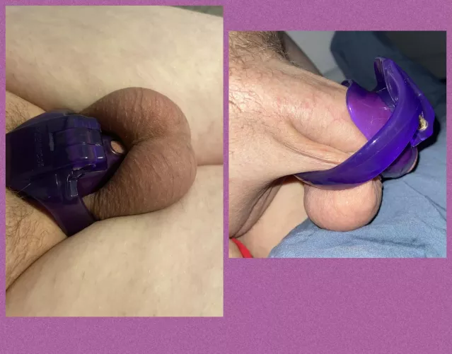 Wake up call. Morning is the only time I fight my cage. I try getting that hard when I am awake and can’t.