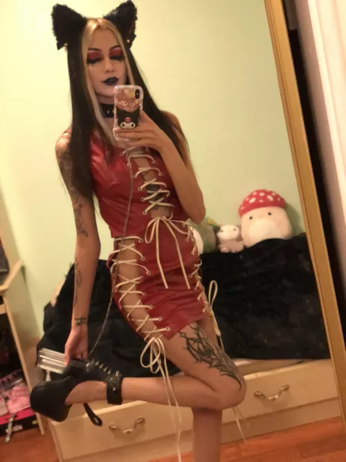 walk this kitten on a leash?❤️🐱