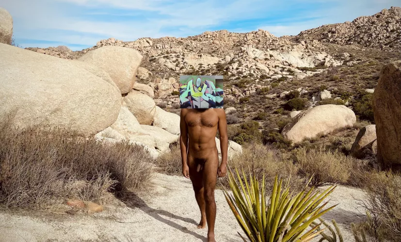 “Wandering re-establishes the original harmony which once existed between man and the universe” – Anatole France