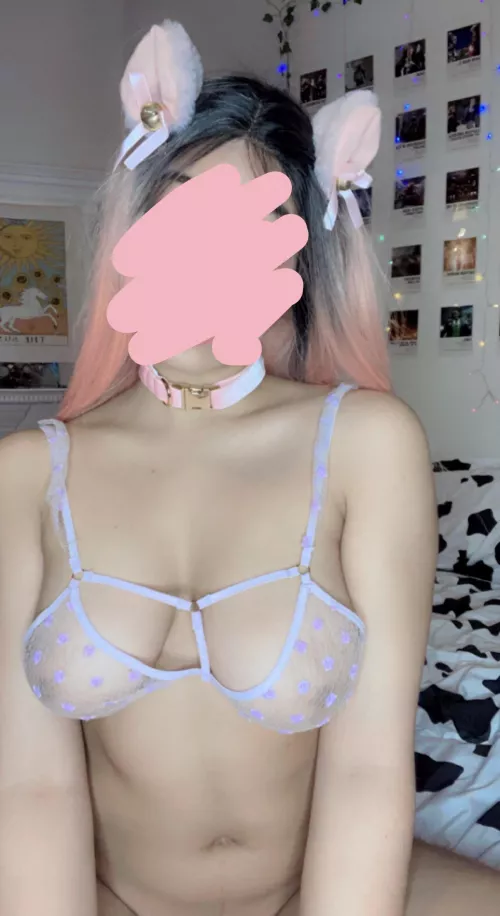 Wanna breed this pretty kitty? F20