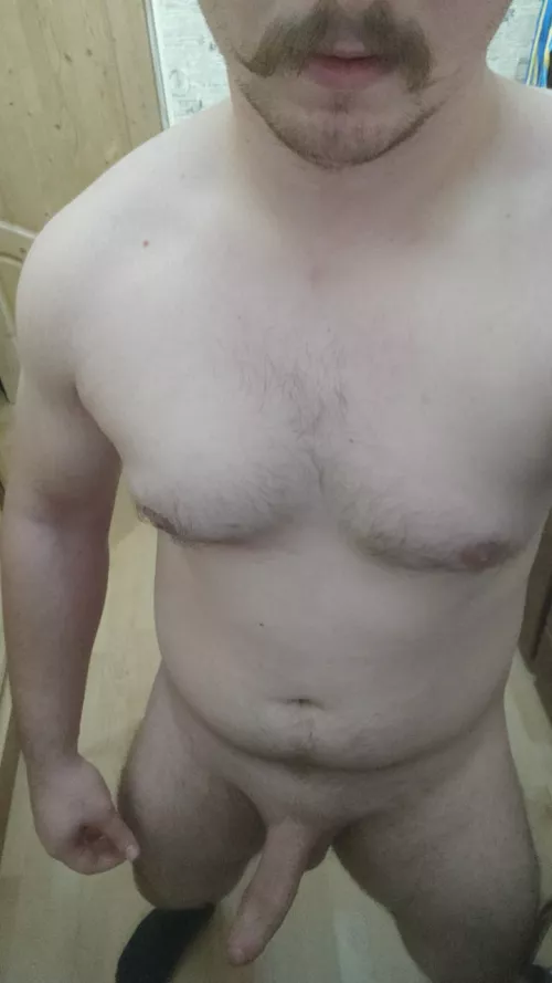 Wanna get bred?