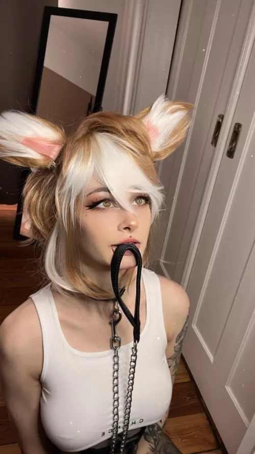 Wanna go out with me? Bark bark 🐾