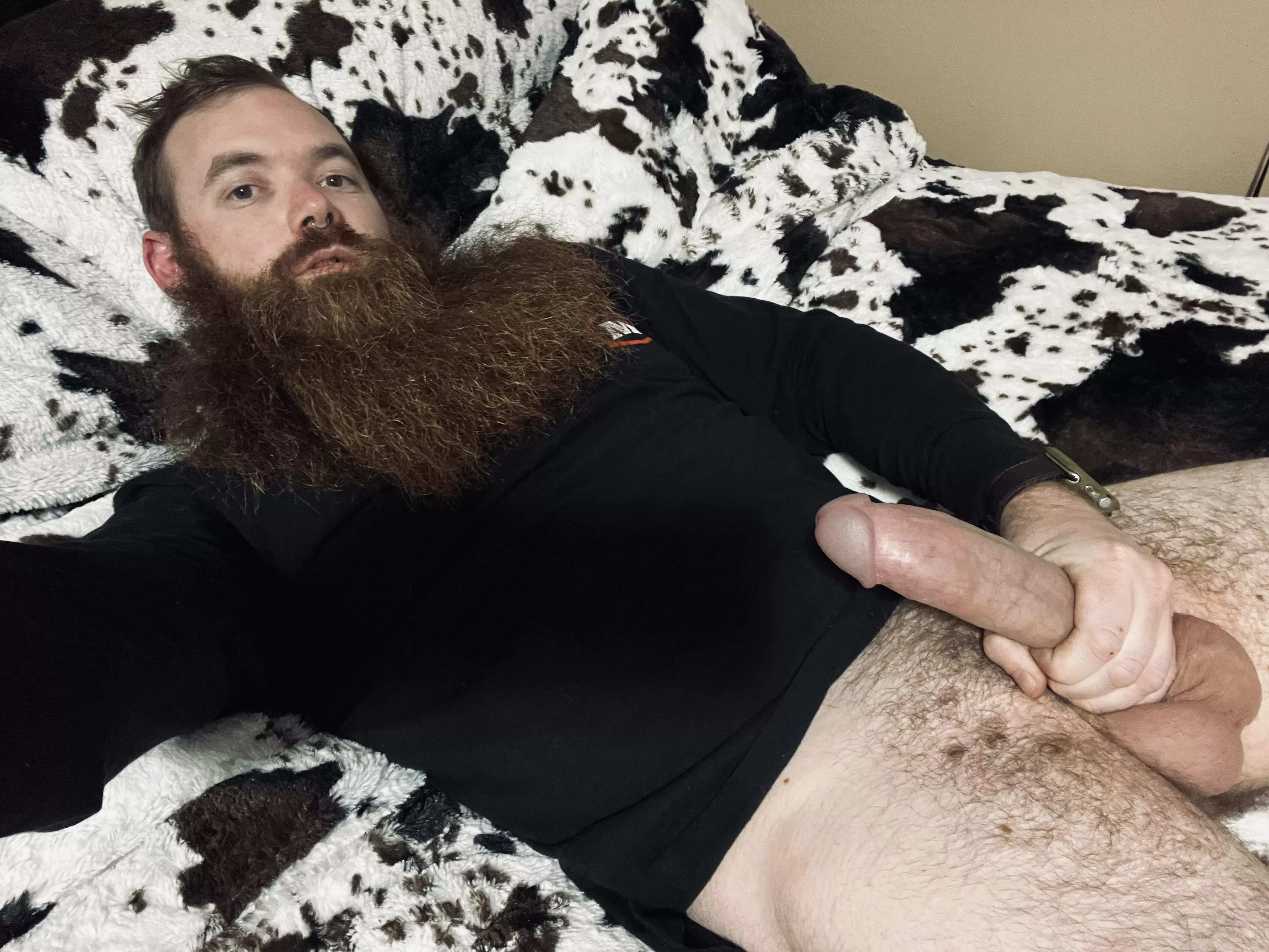 Wanna ride the bull?