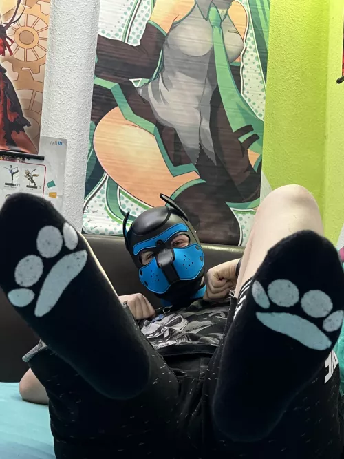 Wanna sniff my paws :3?