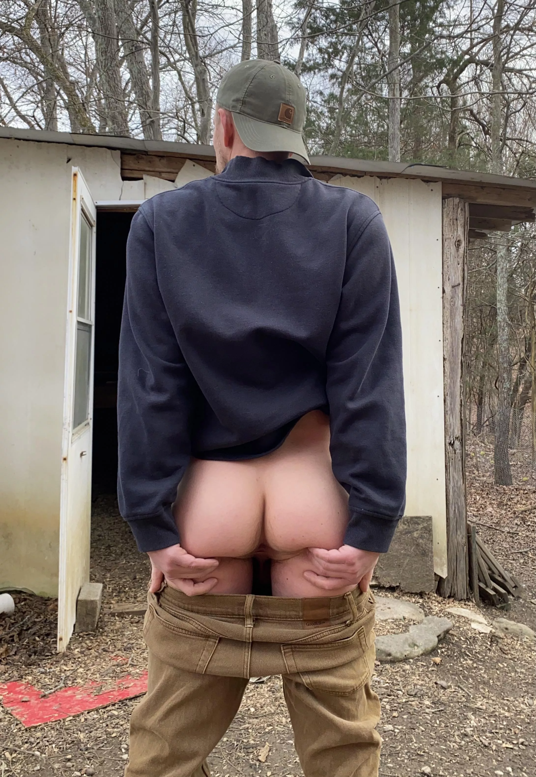 Want to go for a walk in the woods with me? Want to go for a walk in the woods with me?