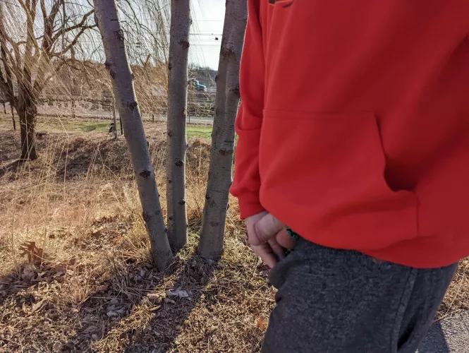 Want to suck my dick in the cold park?