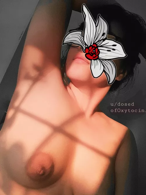 Warm puff for you 🌰