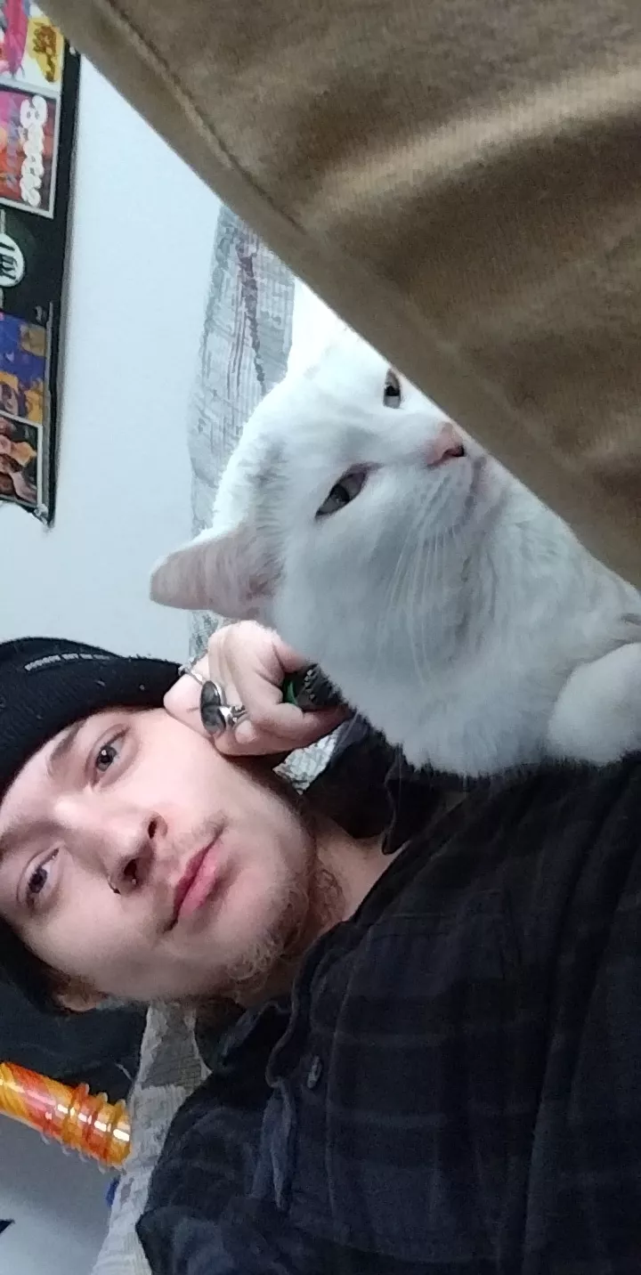 we don't deserve animals we don't deserve animals