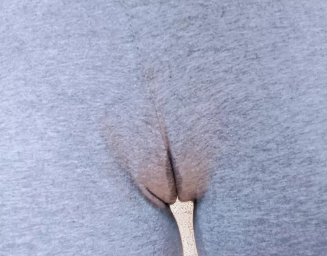 Went for a relaxing short walk and felt sexy in my tight, cute, yoga pants, but when I got back home, I noticed this... Do you think people noticed how sexy I was feeling? 😳