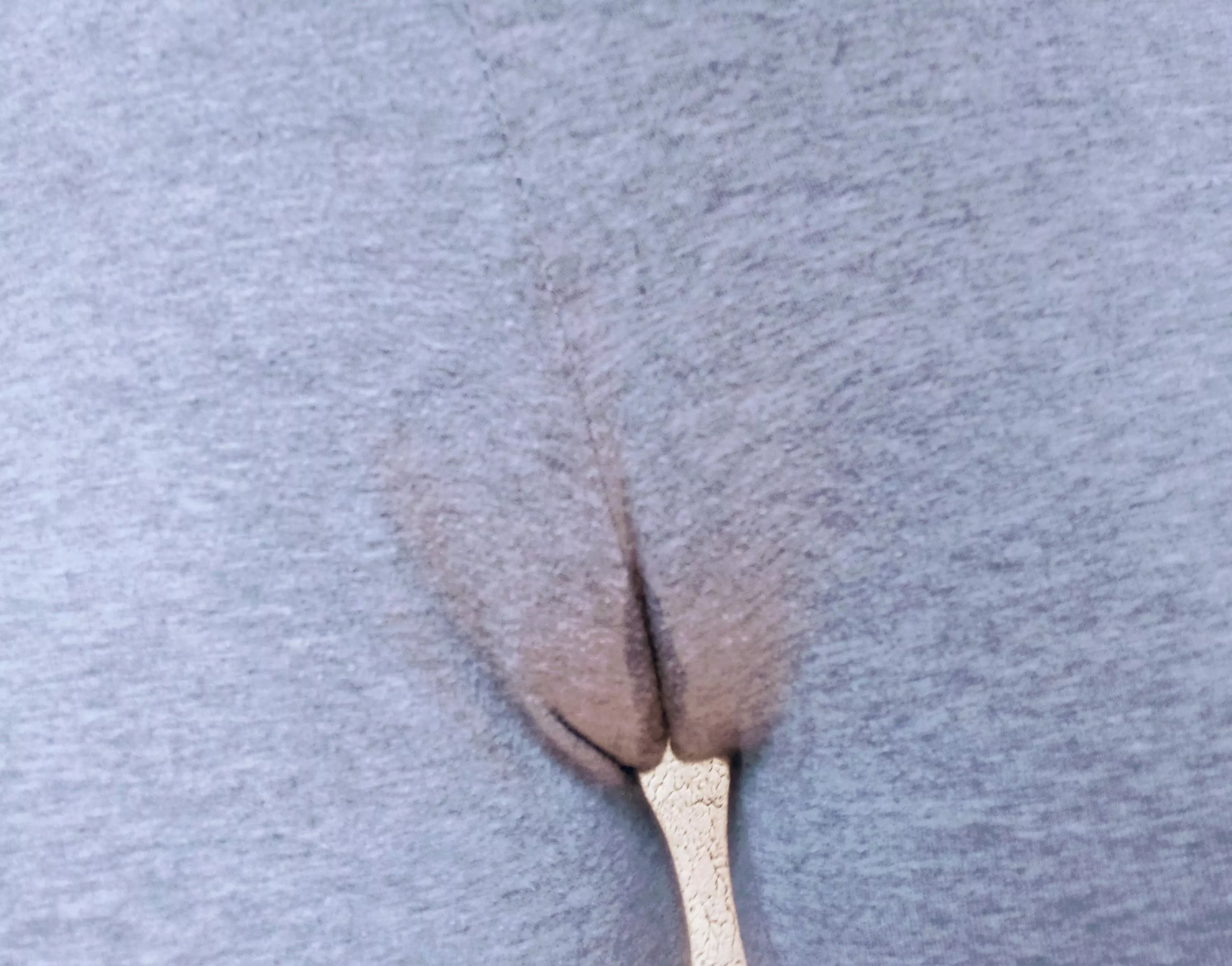 Went for a relaxing short walk and felt sexy in my tight, cute, yoga pants, but when I got back home, I noticed this... Do you think people noticed how sexy I was feeling? 😳