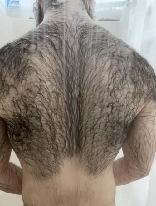 Wet fur