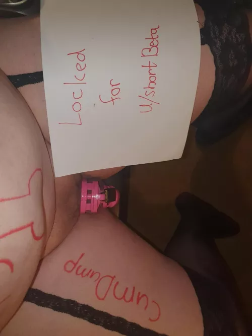 What a pathetic dicklet. Put your contempt and laughter in the comments. My Slave must read it.
