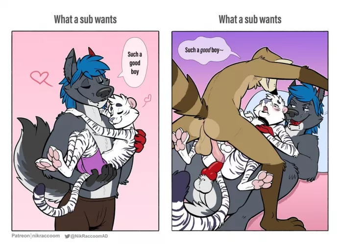 What a sub wants (nik159)