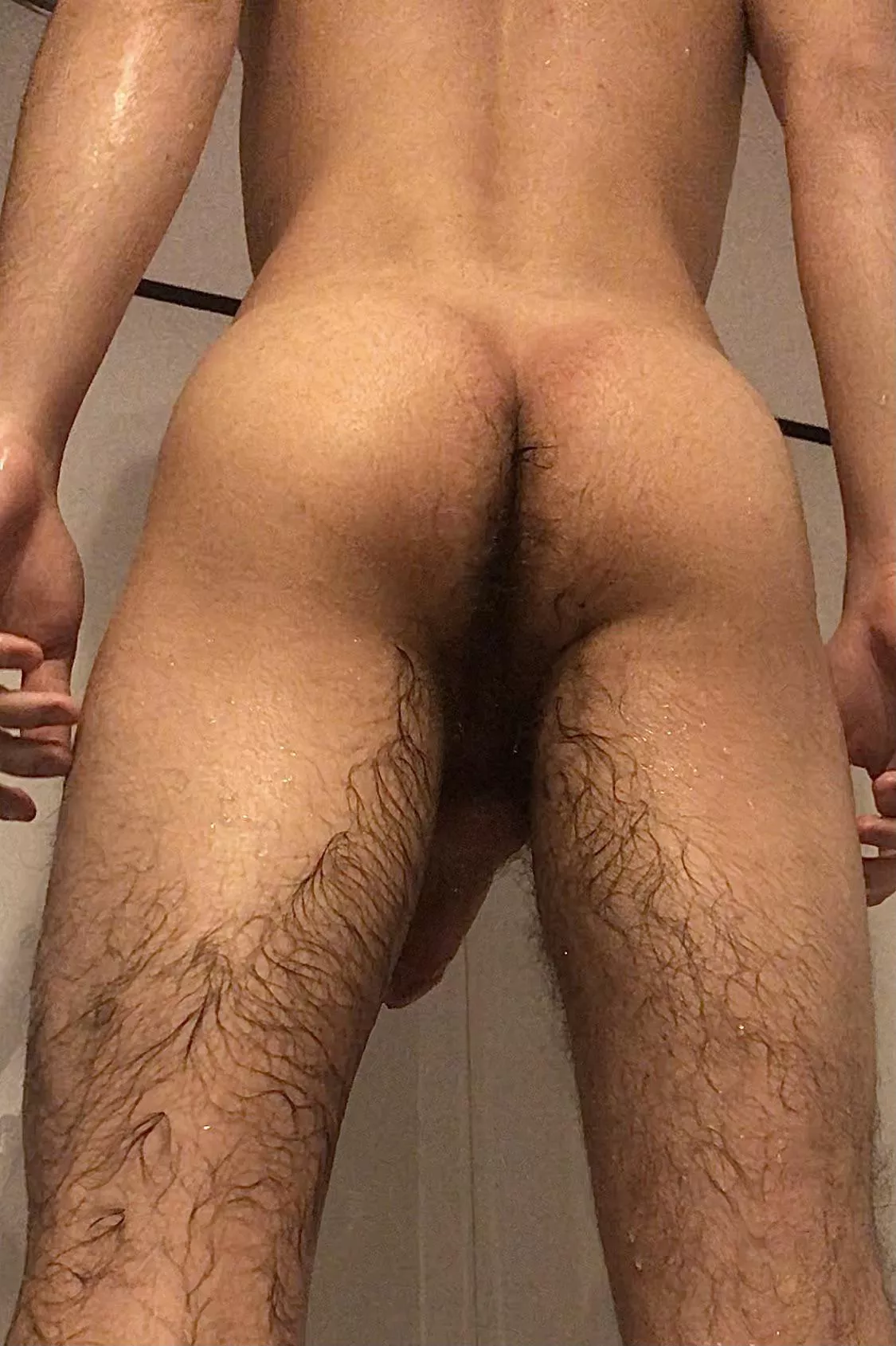 What about hairy asses? [21]