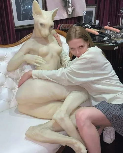 What am I looking at?