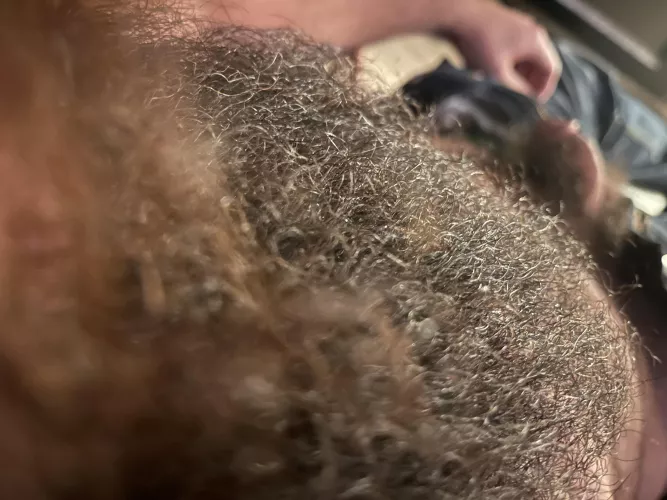 What an alpha breeding top looks like