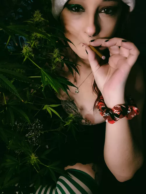What are you listening to while smoking?