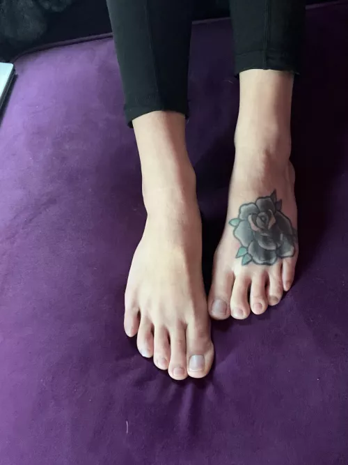 What color to paint these cuties? Hmm