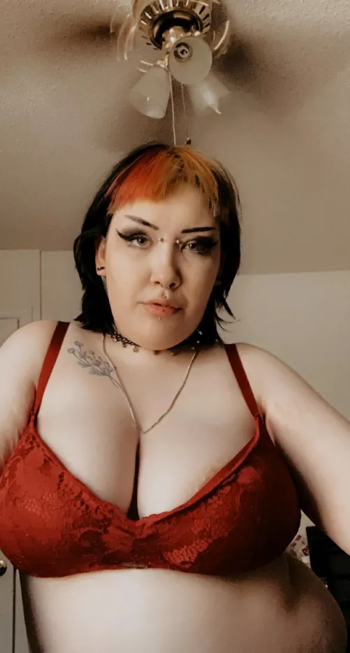 What do we think about plus sized goths in lingerie?