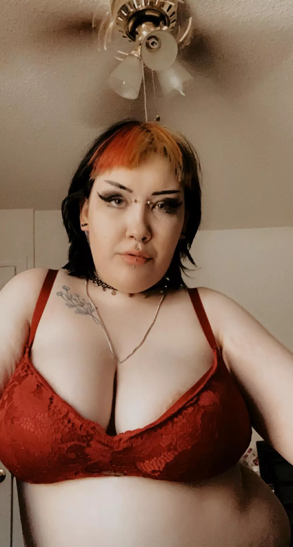 What do we think about plus sized goths in lingerie?