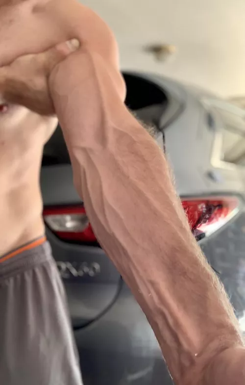 What do y’all think?