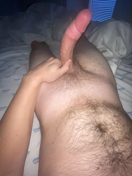 What do y’all think of my morning view?