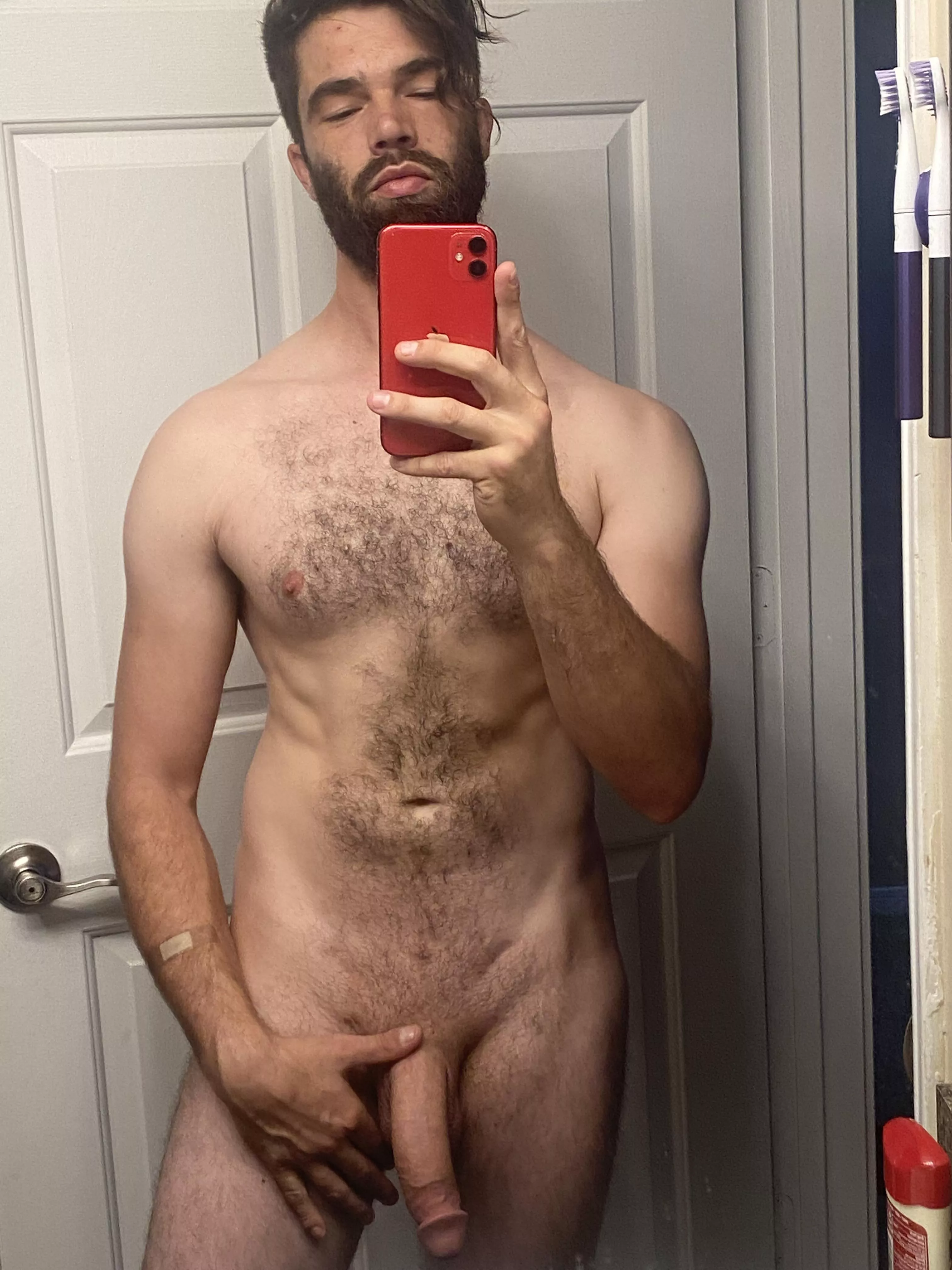 What do y’all think