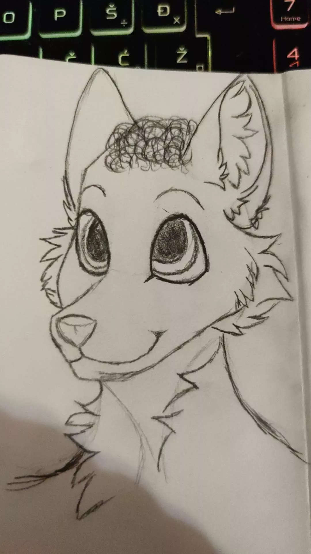 What do yalls think?