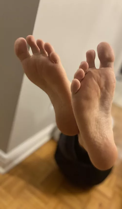 What do you think?