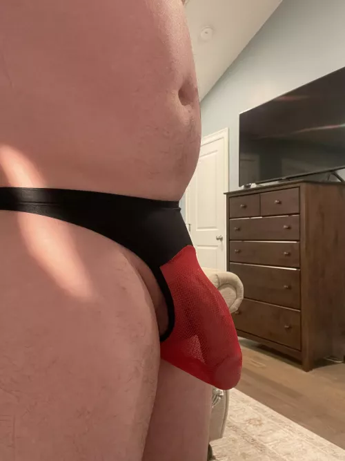 What do you think?