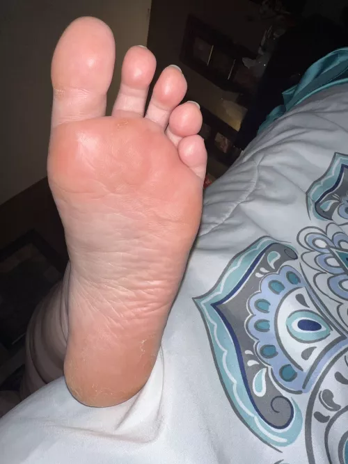 What do you think?