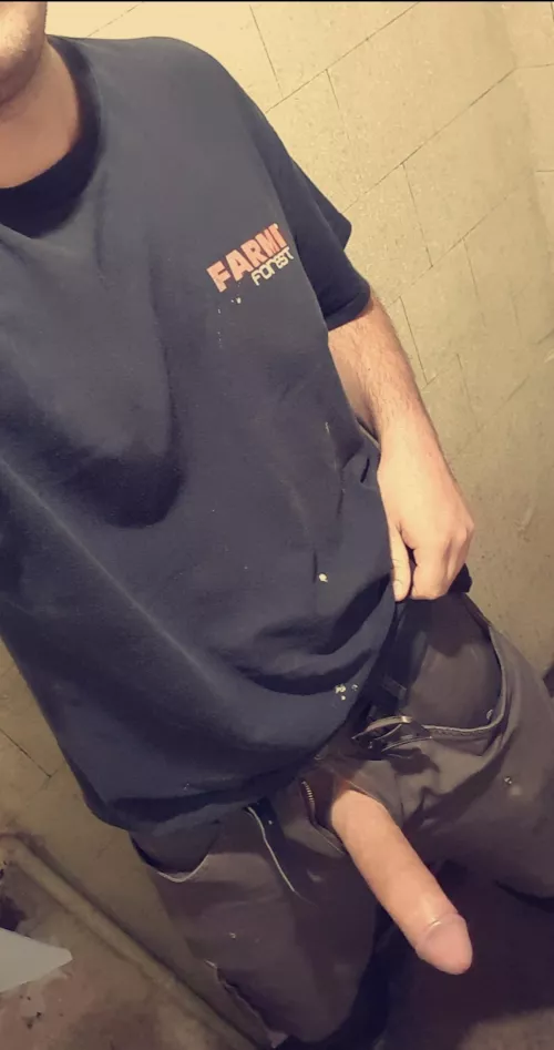 What do you think of a work pic ?