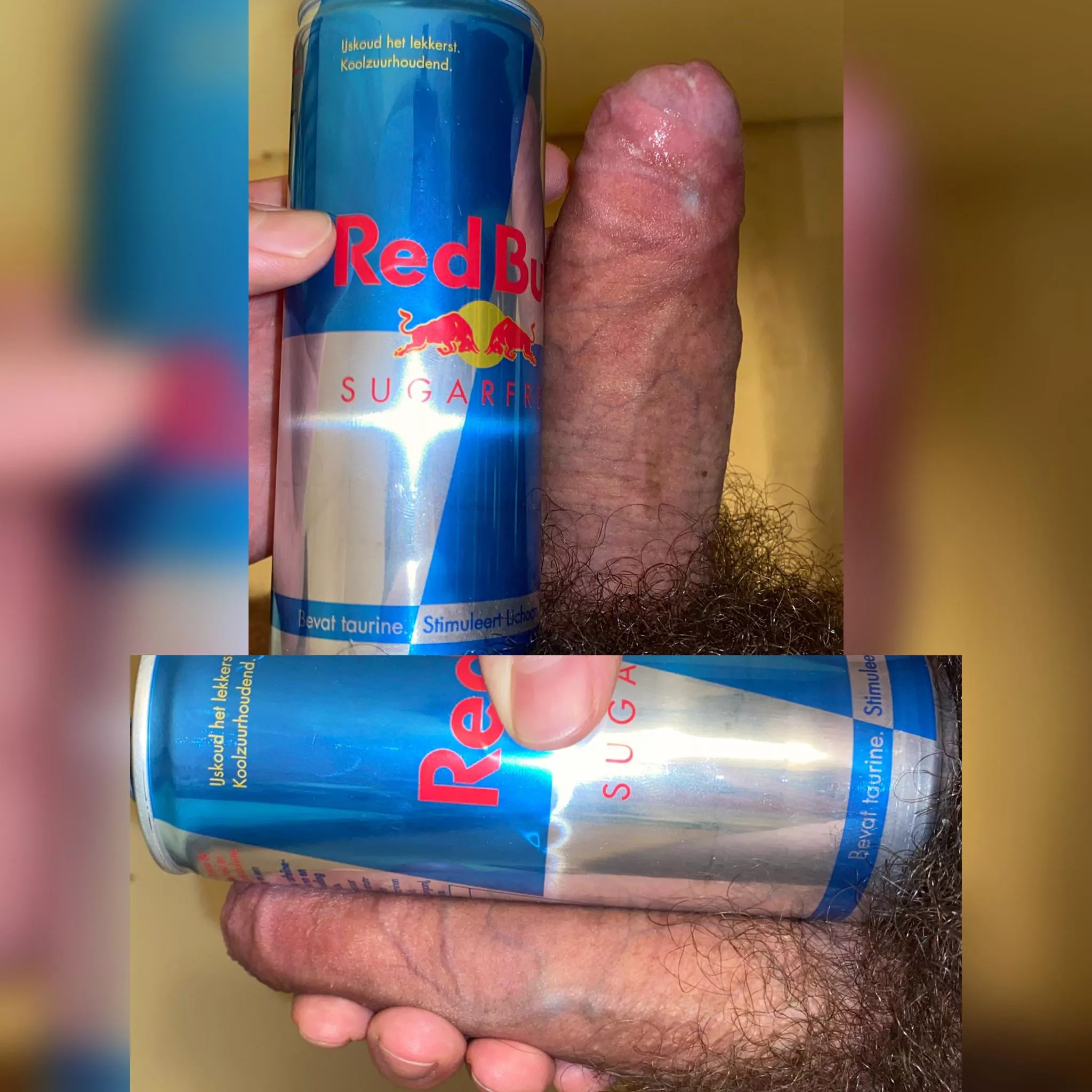 What do you think of my Bull?