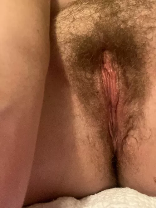 What do you think of my bush.. be honest